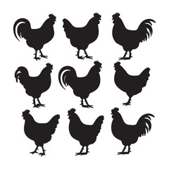 chicken silhouettes, set of chicken vector, silhouettes of hen chicken collection. silhouette chicken family