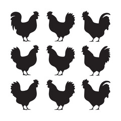chicken silhouettes, set of chicken vector, silhouettes of hen chicken collection. silhouette chicken family