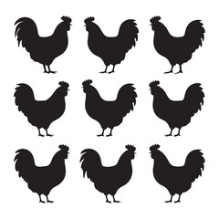 chicken silhouettes, set of chicken vector, silhouettes of hen chicken collection. silhouette chicken family