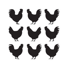 chicken silhouettes, set of chicken vector, silhouettes of hen chicken collection. silhouette chicken family