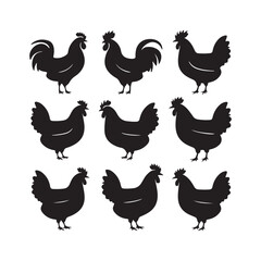 chicken silhouettes, set of chicken vector, silhouettes of hen chicken collection. silhouette chicken family