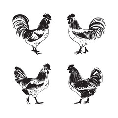 Chicken Silhouette, Vector EPS10 Illustration Vector black silhouette of a hen on a white background.