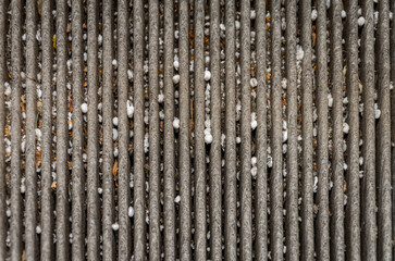 Dirty used car cabin air filter