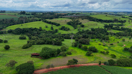 landscape of a green territory full of trees