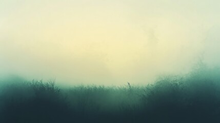Fototapeta premium Mysterious landscape shrouded in fog, creating an ethereal atmosphere with delicate silhouettes of plants.