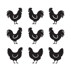 Chicken Silhouette, Vector EPS10 Illustration Vector black silhouette of a hen on a white background.