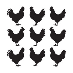 Chicken Silhouette, Vector EPS10 Illustration Vector black silhouette of a hen on a white background.