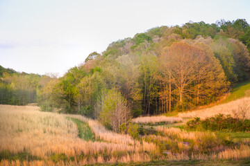 Tennessee Sunrise Undeveloped Landscape Beautiful Land Real Estate