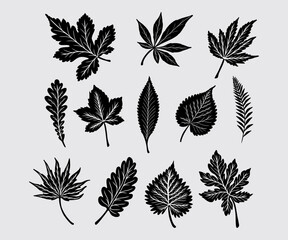 Leaf botanical collection set bundle silhouette vector illustration asset element nature, plant, tropical leafs editable	