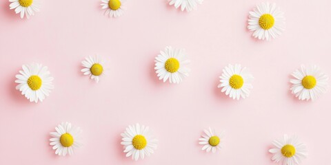Obraz premium Minimalist Daisy Pattern on Soft Pink Background - Nature-Inspired Aesthetic