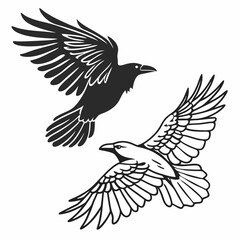 eagle in flight