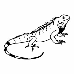 iguana
