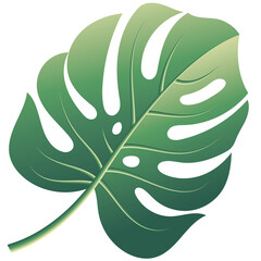Stylized Monstera Leaf Illustration