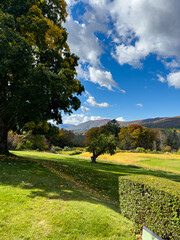 Fall Foliage Overlooking a Field and Mountains on a Clear Day