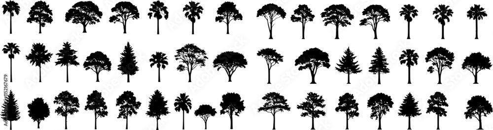 Poster silhouette tree line drawing set, side view, set of graphics trees elements outline symbol for archi