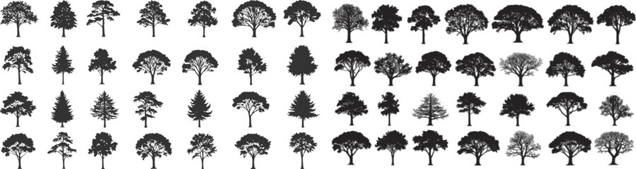 silhouette tree line drawing set, Side view, set of graphics trees elements outline symbol for architecture and landscape design drawing. Vector illustration in stroke fill in white. Tropical