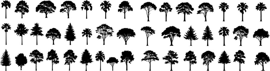 silhouette tree line drawing set, Side view, set of graphics trees elements outline symbol for architecture and landscape design drawing. Vector illustration in stroke fill in white. Tropical