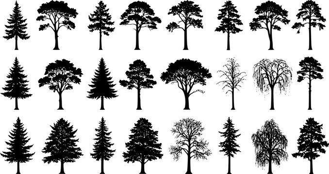 silhouette tree line drawing set, Side view, set of graphics trees elements outline symbol for architecture and landscape design drawing. Vector illustration in stroke fill in white. Tropical