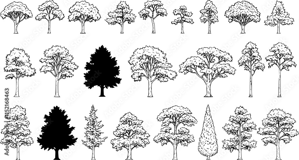 Poster silhouette tree line drawing set, side view, set of graphics trees elements outline symbol for archi