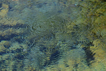 Nong Ya Plong Hot Springs ,
physically consists of warm springs found between a public land and National Forest. 
Yellow-green algae are found in the hot springs.
 Phetchaburi province ,Thailand 