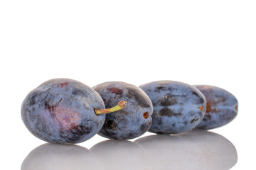 Four ripe black plums, macro, isolated on white background.