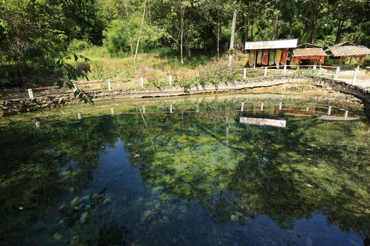 Nong Ya Plong Hot Springs ,
physically consists of warm springs found between a public land and National Forest. 
Yellow-green algae are found in the hot springs.
 Phetchaburi province ,Thailand 