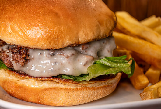 burger with french fries