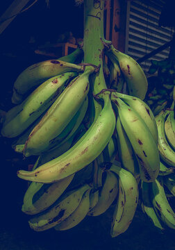 bunch of bananas