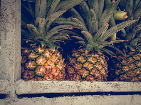 pineapple on the market