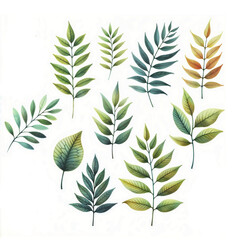 Set of leaves on white background.AI