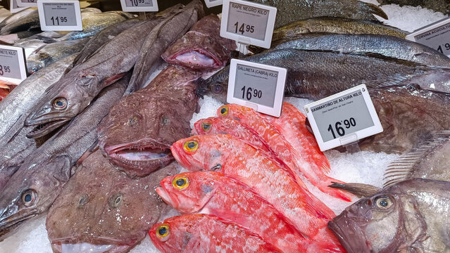 Variedad de pescados frescos en una pescader&iacute;a con carteles con su precio en euros el kilo y nombre de la especie. Mercado y alimentaci&oacute;n