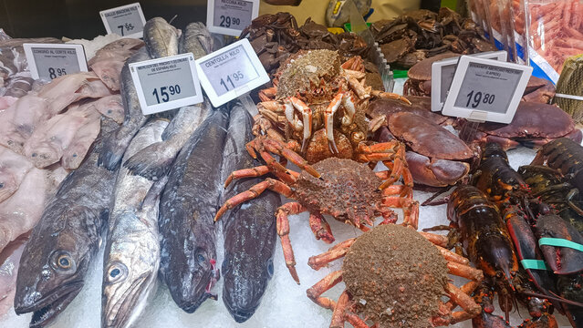 Variedad de pescados y mariscos en un mostrador de una pescader&iacute;a. Alimento, mercado, compra