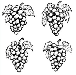 4 hand-drawn black and white grape bunch icons on a plain background, vector illustration, simple design, white background, flat art style. --