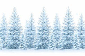 Fototapeta premium Snowy Evergreen Trees in Winter Landscape with Soft White Background