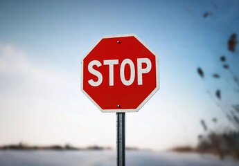 Obraz premium A red stop sign with the word 