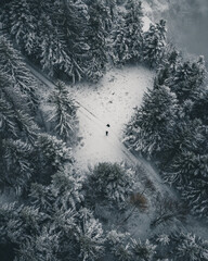 Winterlandschaft mit Wald und Schnee aufgenommen mit der Drohne in Österreich
