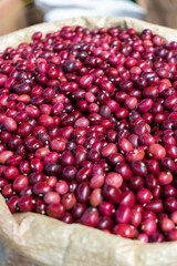 Sack Full of Red Kidney Beans
