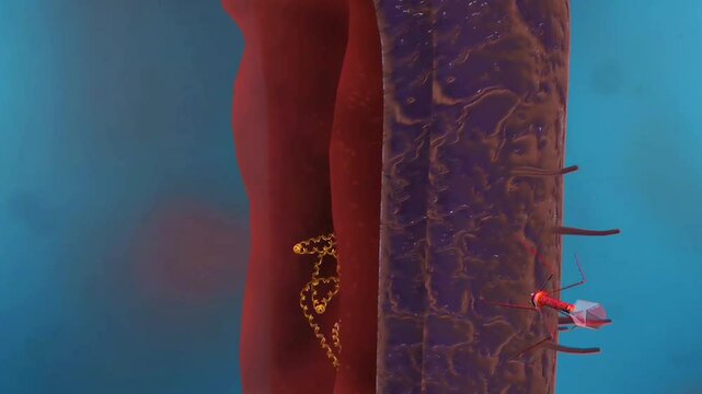 CRISPR-cas9 defence system