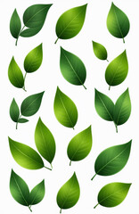 Naklejka premium Collection of vibrant green leaves with various shapes on white background