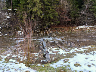 Landscapes - Forest - Europe, Romania, Suceava region   