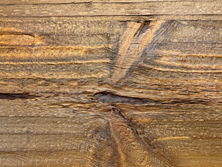 Close up of wooden tree log open pore texture. Natural solid wood or timber log texture with dark...