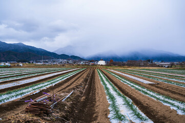 山形村の農地から安曇野方面