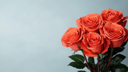 Five coral roses arranged against a light blue background.