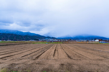 霜が降りた日の山形村の農地