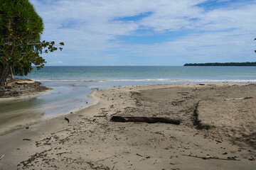 Cahuita, Costa Rica - November 16, 2024 - the Cahuita National Park - beach, forest and colorful marine life