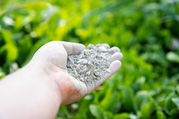 Hand holding rock dust for fertilizing and improving soil in a vegetable garden