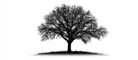 Isolated black silhouette a tree for abstract designs