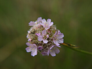 piękne kolory jesieni