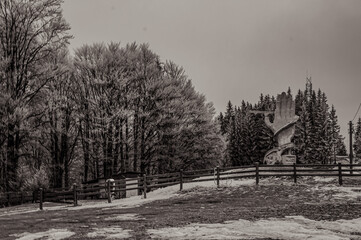 Fototapety na wymiar - Fototapeta24.pl