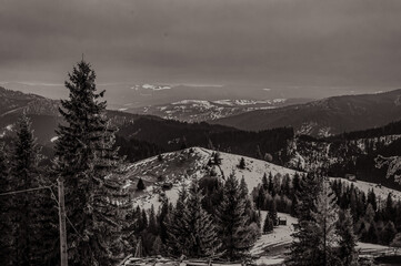 Fototapety na wymiar - Fototapeta24.pl